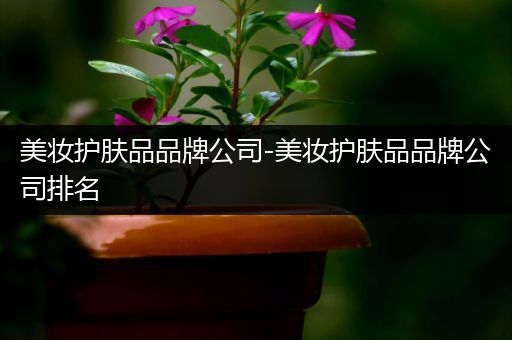美妝護(hù)膚品品牌公司-美妝護(hù)膚品品牌公司排名