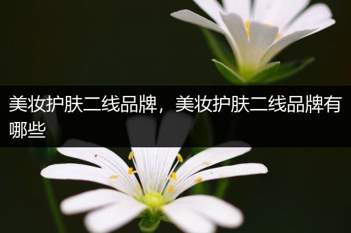 美妝護膚二線品牌，美妝護膚二線品牌有哪些