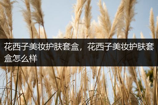 花西子美妝護(hù)膚套盒，花西子美妝護(hù)膚套盒怎么樣