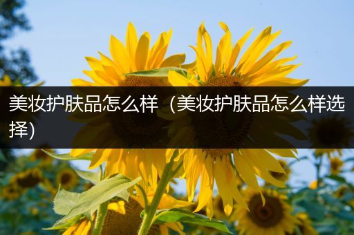 美妝護膚品怎么樣（美妝護膚品怎么樣選擇）