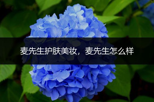 麥先生護(hù)膚美妝，麥先生怎么樣