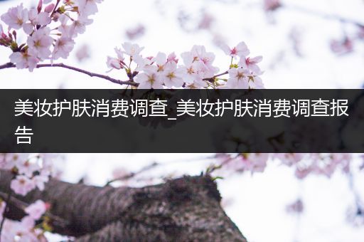 美妝護(hù)膚消費(fèi)調(diào)查_美妝護(hù)膚消費(fèi)調(diào)查報告