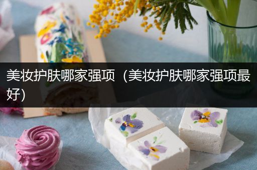 美妝護(hù)膚哪家強項（美妝護(hù)膚哪家強項最好）