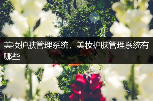 美妝護(hù)膚管理系統(tǒng)，美妝護(hù)膚管理系統(tǒng)有哪些