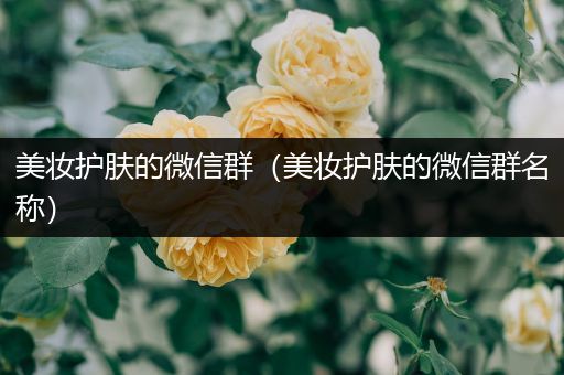 美妝護膚的微信群（美妝護膚的微信群名稱）