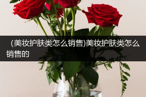 （美妝護(hù)膚類怎么銷售)美妝護(hù)膚類怎么銷售的