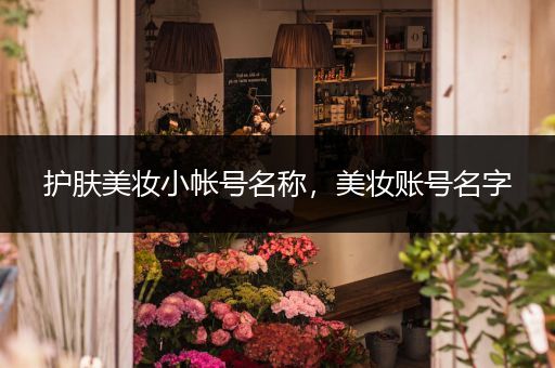 護(hù)膚美妝小帳號(hào)名稱，美妝賬號(hào)名字