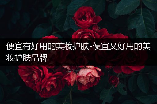便宜有好用的美妝護(hù)膚-便宜又好用的美妝護(hù)膚品牌