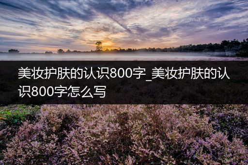 美妝護(hù)膚的認(rèn)識(shí)800字_美妝護(hù)膚的認(rèn)識(shí)800字怎么寫