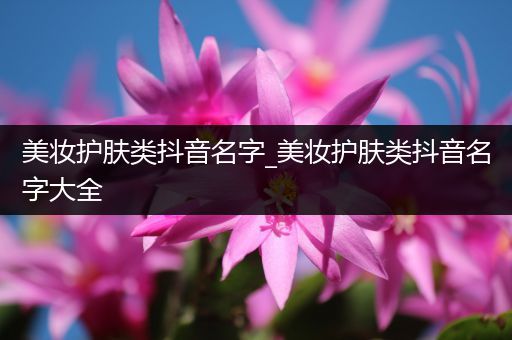 美妝護膚類抖音名字_美妝護膚類抖音名字大全