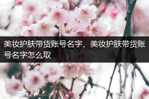 美妝護(hù)膚帶貨賬號(hào)名字，美妝護(hù)膚帶貨賬號(hào)名字怎么取