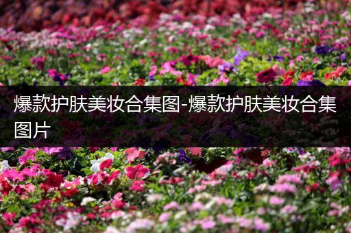 爆款護膚美妝合集圖-爆款護膚美妝合集圖片