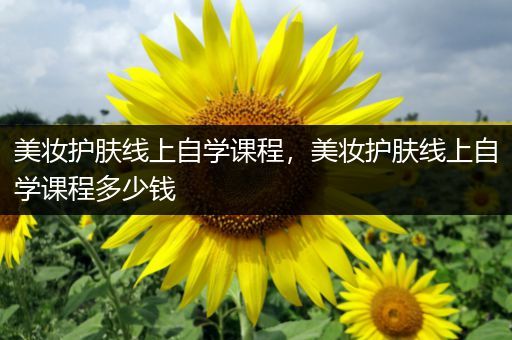 美妝護(hù)膚線上自學(xué)課程，美妝護(hù)膚線上自學(xué)課程多少錢