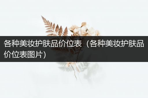 各種美妝護膚品價位表（各種美妝護膚品價位表圖片）