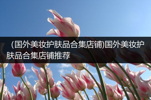 （國外美妝護(hù)膚品合集店鋪)國外美妝護(hù)膚品合集店鋪推薦