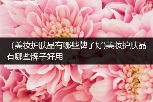 （美妝護膚品有哪些牌子好)美妝護膚品有哪些牌子好用