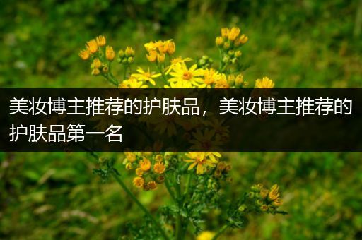 美妝博主推薦的護(hù)膚品，美妝博主推薦的護(hù)膚品第一名