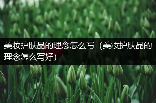 美妝護(hù)膚品的理念怎么寫（美妝護(hù)膚品的理念怎么寫好）