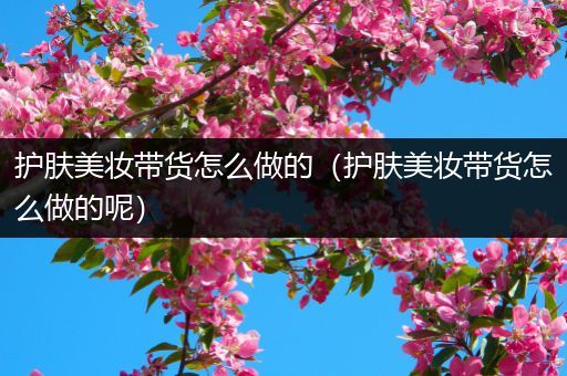 護(hù)膚美妝帶貨怎么做的（護(hù)膚美妝帶貨怎么做的呢）