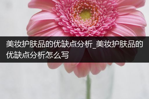 美妝護膚品的優(yōu)缺點分析_美妝護膚品的優(yōu)缺點分析怎么寫