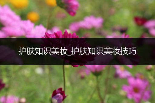 護膚知識美妝_護膚知識美妝技巧
