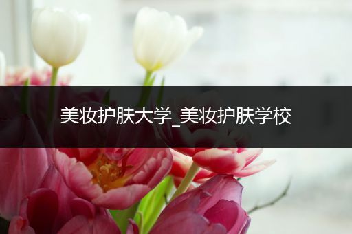美妝護(hù)膚大學(xué)_美妝護(hù)膚學(xué)校