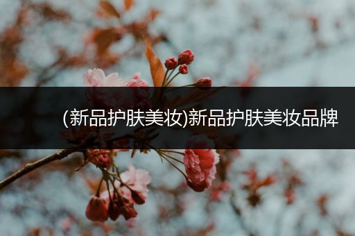 （新品護(hù)膚美妝)新品護(hù)膚美妝品牌