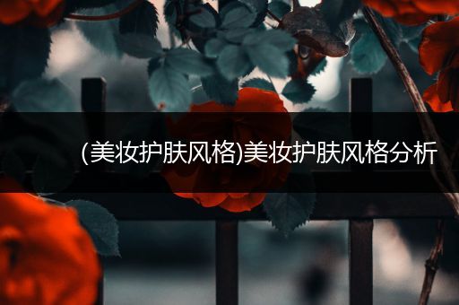 （美妝護膚風(fēng)格)美妝護膚風(fēng)格分析