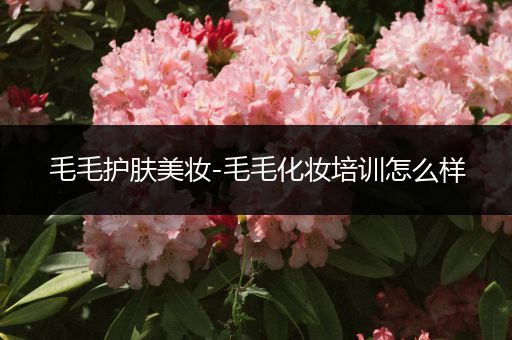 毛毛護(hù)膚美妝-毛毛化妝培訓(xùn)怎么樣