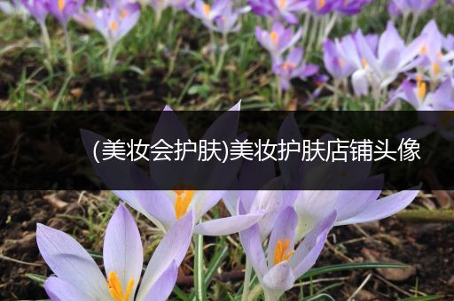（美妝會護膚)美妝護膚店鋪頭像