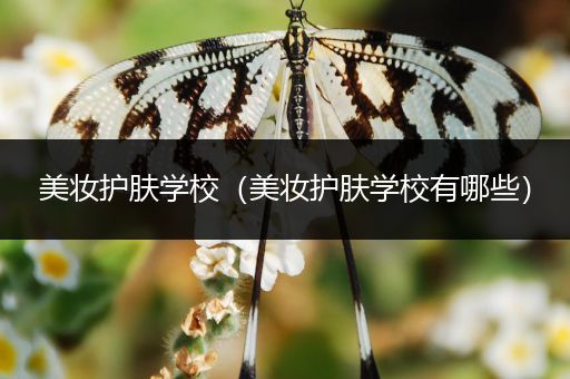 美妝護(hù)膚學(xué)校（美妝護(hù)膚學(xué)校有哪些）