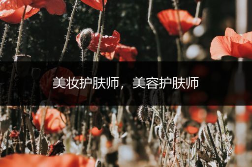 美妝護(hù)膚師，美容護(hù)膚師