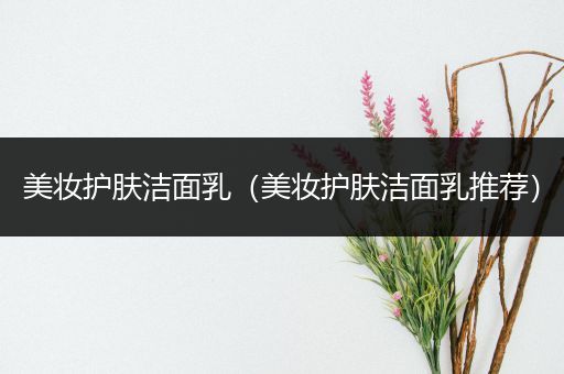 美妝護膚潔面乳（美妝護膚潔面乳推薦）
