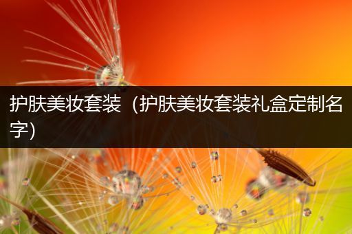 護膚美妝套裝（護膚美妝套裝禮盒定制名字）