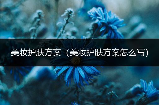 美妝護(hù)膚方案（美妝護(hù)膚方案怎么寫）