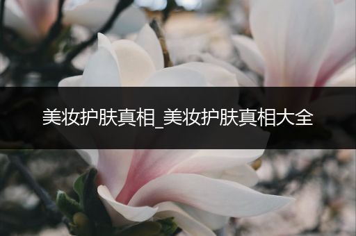 美妝護膚真相_美妝護膚真相大全