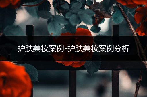 護膚美妝案例-護膚美妝案例分析