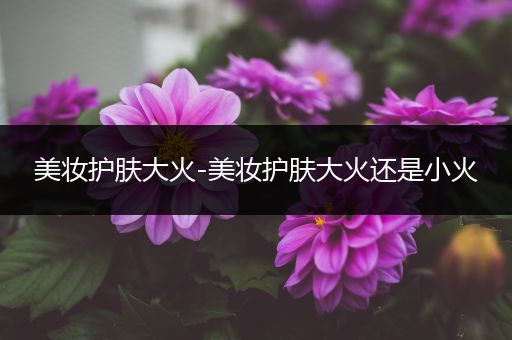 美妝護(hù)膚大火-美妝護(hù)膚大火還是小火