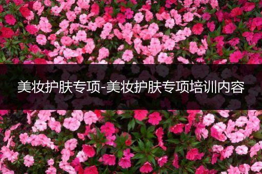 美妝護膚專項-美妝護膚專項培訓內(nèi)容