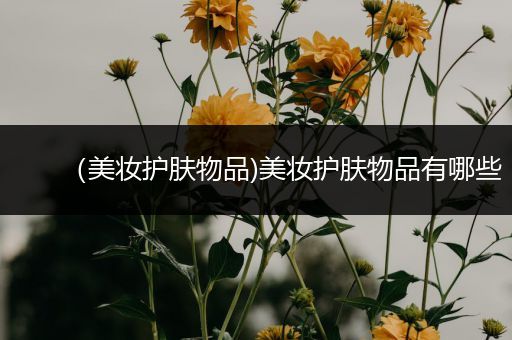（美妝護膚物品)美妝護膚物品有哪些