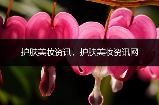 護膚美妝資訊，護膚美妝資訊網(wǎng)