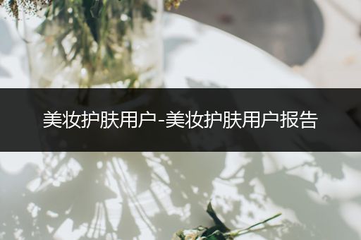 美妝護(hù)膚用戶-美妝護(hù)膚用戶報(bào)告