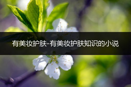 有美妝護(hù)膚-有美妝護(hù)膚知識(shí)的小說(shuō)