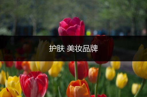 護(hù)膚 美妝品牌