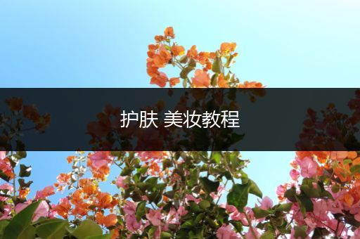 護(hù)膚 美妝教程