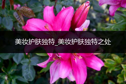 美妝護(hù)膚獨(dú)特_美妝護(hù)膚獨(dú)特之處