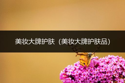 美妝大牌護(hù)膚（美妝大牌護(hù)膚品）