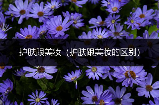 護(hù)膚跟美妝（護(hù)膚跟美妝的區(qū)別）