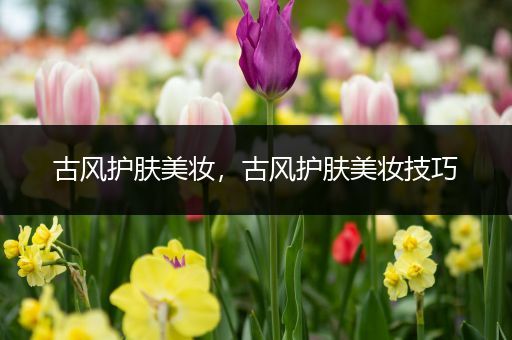 古風(fēng)護(hù)膚美妝，古風(fēng)護(hù)膚美妝技巧