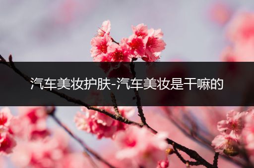 汽車美妝護(hù)膚-汽車美妝是干嘛的
